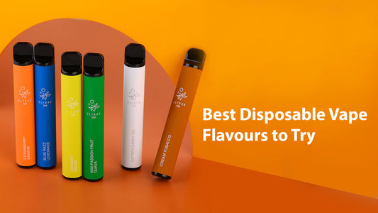 Best Disposable Vape Flavours to Try in 2023